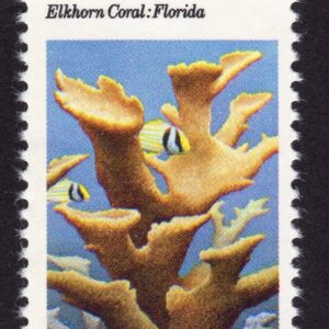 Scott #1828 Elkhorn Coral Reefs Single Stamp - MNH