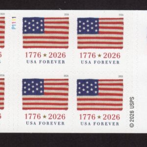 Scott #6111 Flag Booklet (APU) of 20 Forever Stamps - MNH P#P1111