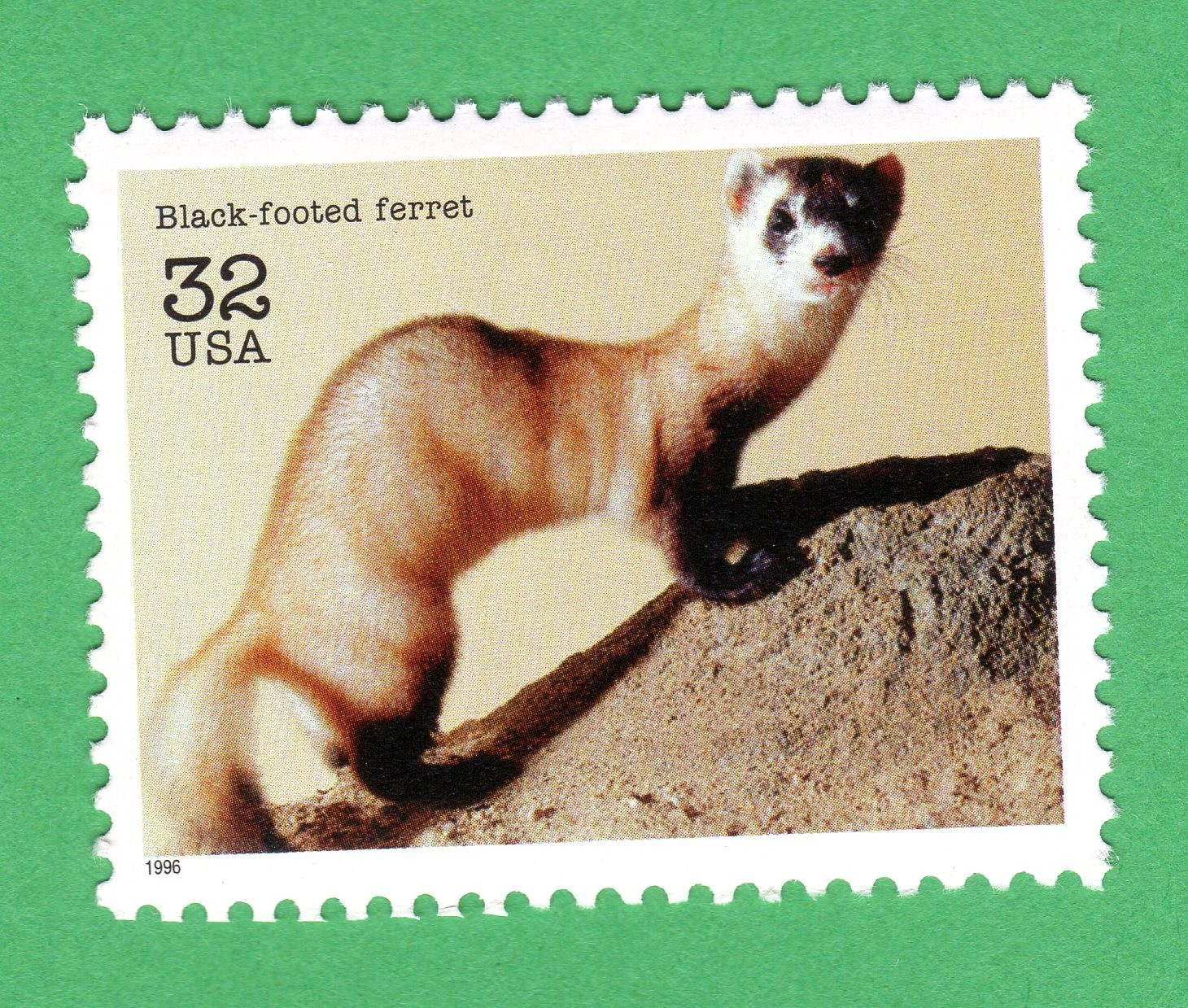 Scott #3105a Black-footed ferret Single Stamp - MNH