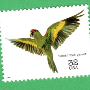 Scott #3105b Thick-billed parrot Single Stamp - MNH
