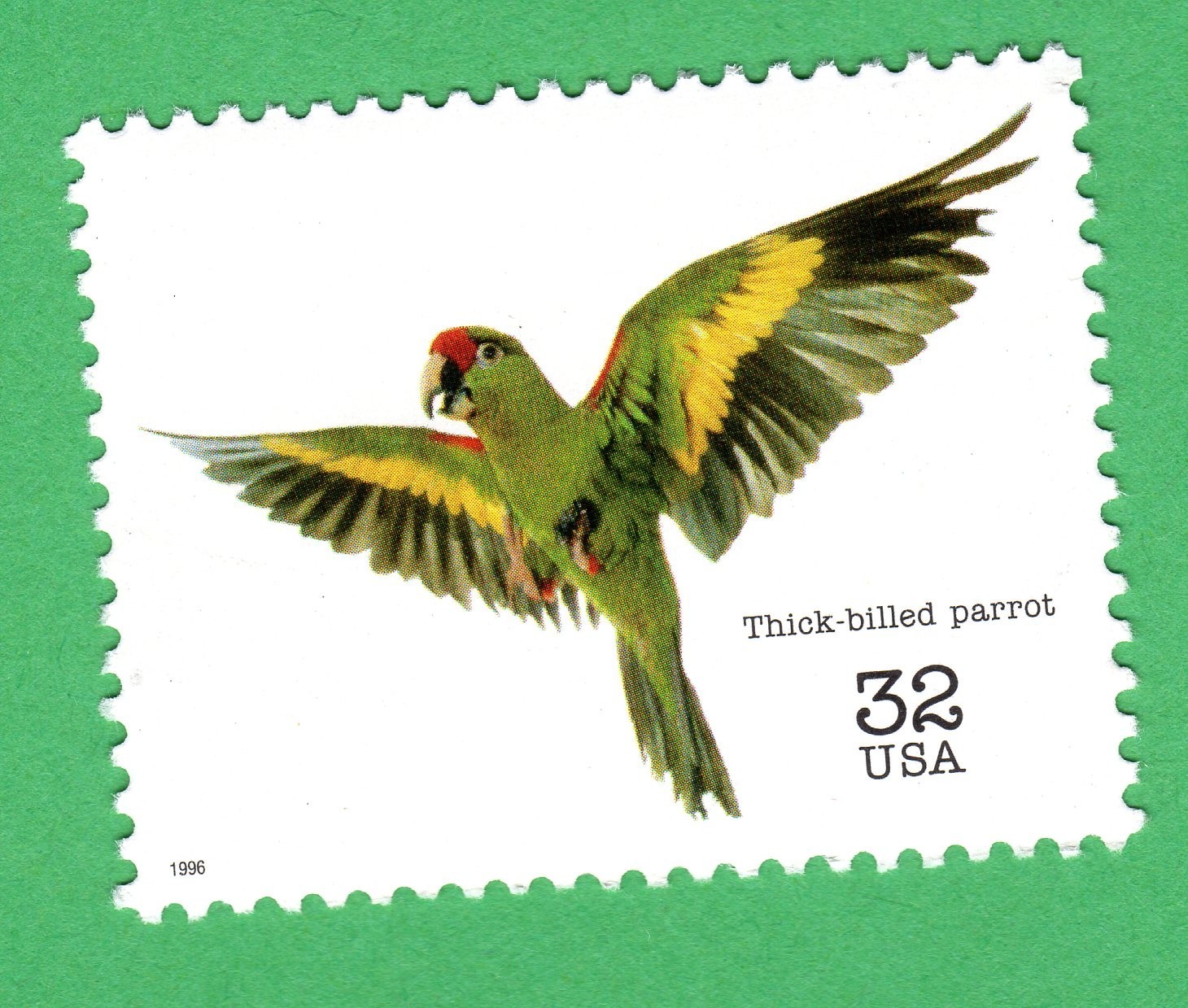 Scott #3105b Thick-billed parrot Single Stamp - MNH