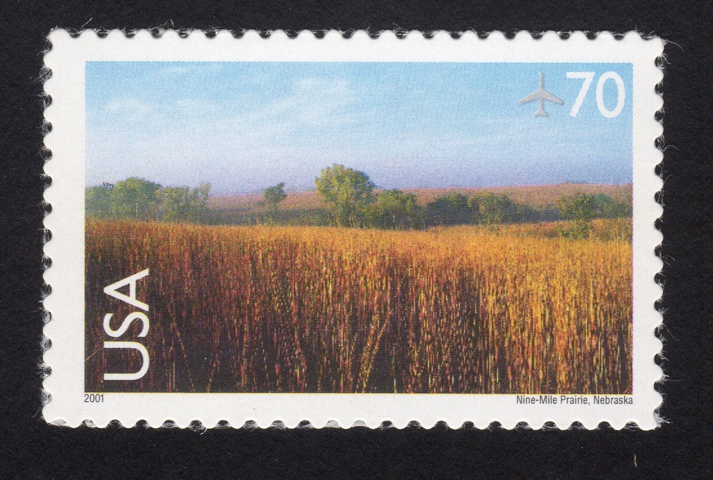 Scott #c136 Nine-Mile Prairie Single Airmail Stamp - MNH