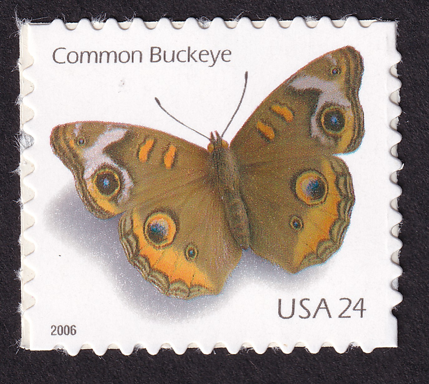 Scott #4001 Common Buckeye Booklet Single Stamp - MNH