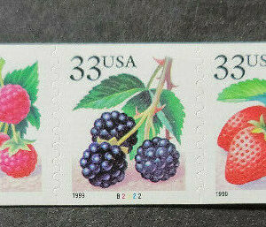 Scott #3305a (3302-3305) Berry (Strawberry, Blueberry) P#B2222 Coil of 9 Stamps