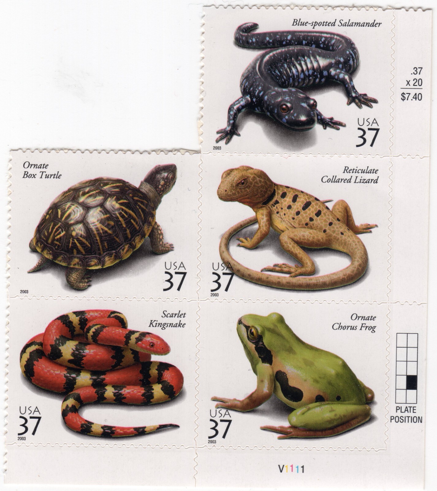 Scott #3818a (3514-3518) Reptiles & Amphibians Plate Block of 5 Stamps - MNH
