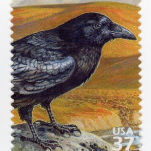 Scott #3802c Arctic Tundra (Nature Series) Common Raven Single Stamp - MNH