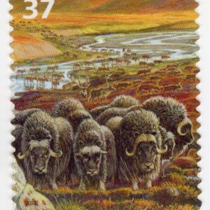 Scott #3802d Arctic Tundra (Nature Series) Musk Oxen Caribou Single Stamp - MNH