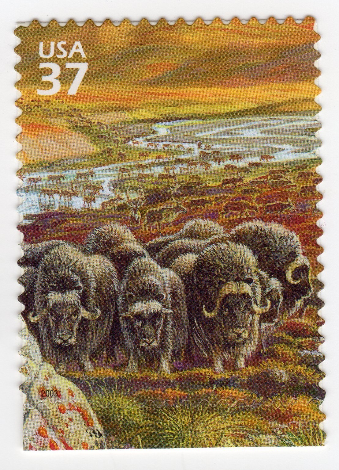 Scott #3802d Arctic Tundra (Nature Series) Musk Oxen Caribou Single Stamp - MNH
