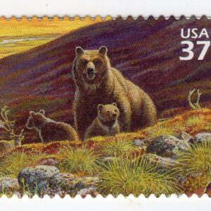 Scott #3802e Arctic Tundra (Nature Series) Grizzly Bears Single Stamp - MNH