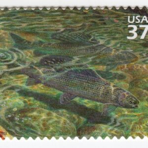 Scott #3802i Arctic Tundra (Nature Series) Grayling Single Stamp - MNH
