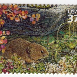 Scott #3802j Arctic Tundra (Nature Series) Singing Vole Single Stamp - MNH