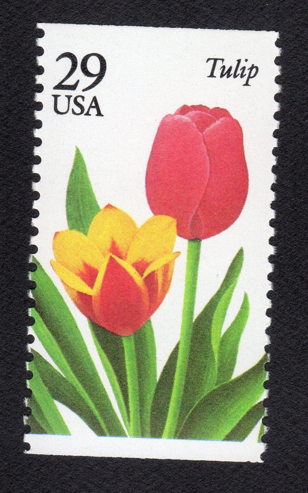 Scott #2762 - Garden Flowers Tulip Booklet Single Stamp - MNH