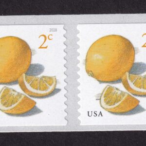 Scott #5256 Lemons Coil Pair of Stamps - MNH