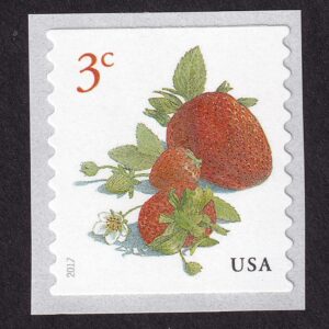 Scott #5201 Strawberries Coil Single Stamp - MNH
