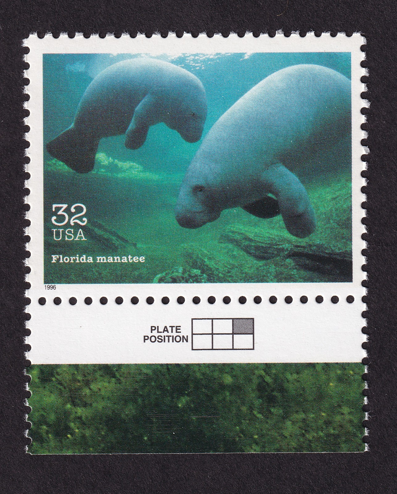 Scott #3105o Endangered Species Florida Manatee Single Stamp - MNH