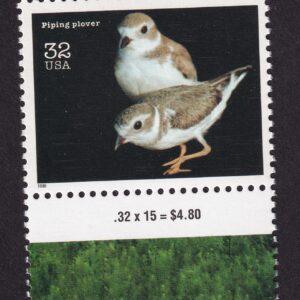 Scott #3105n Endangered Species Piping Plover Single Stamp - MNH