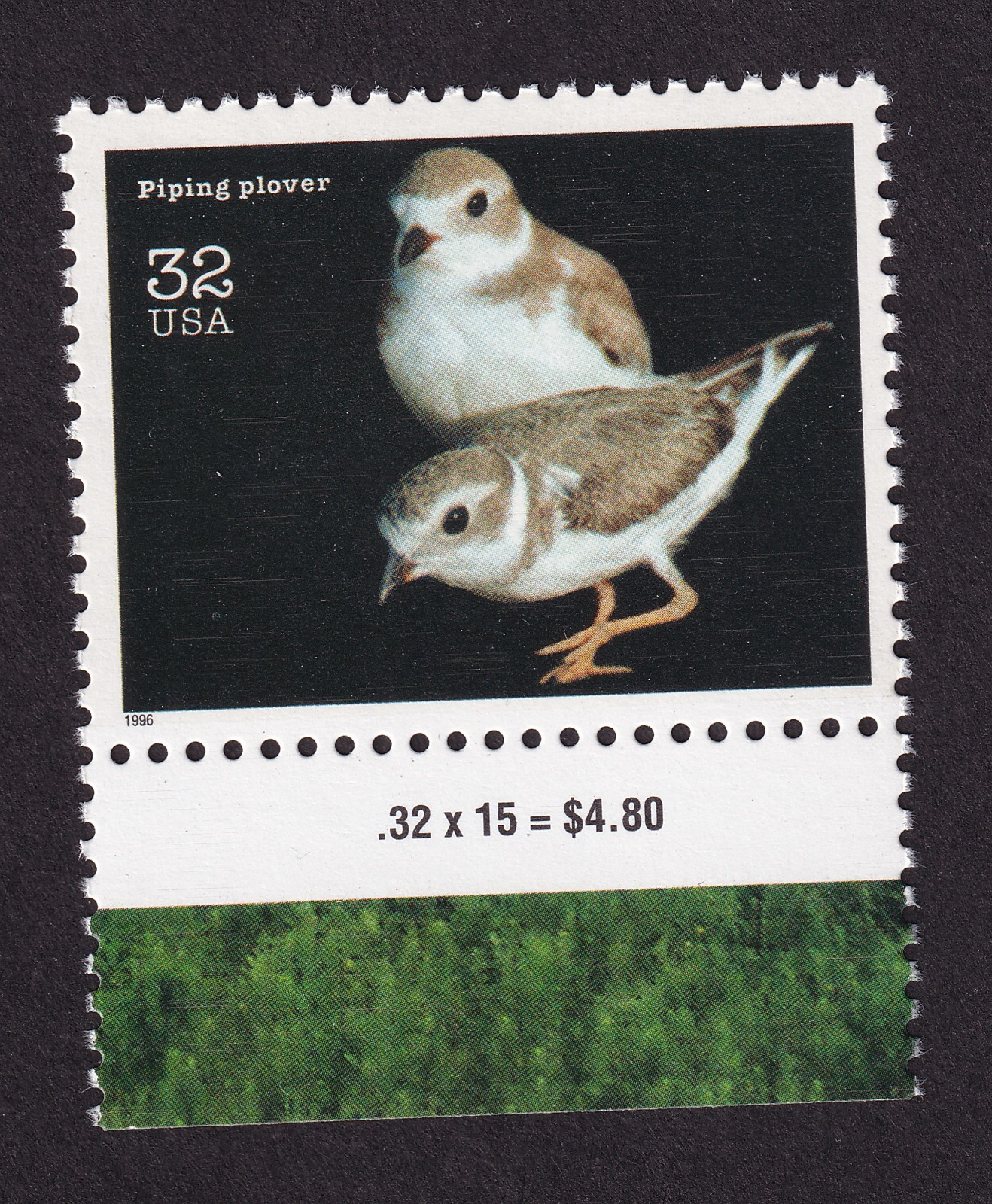 Scott #3105n Endangered Species Piping Plover Single Stamp - MNH