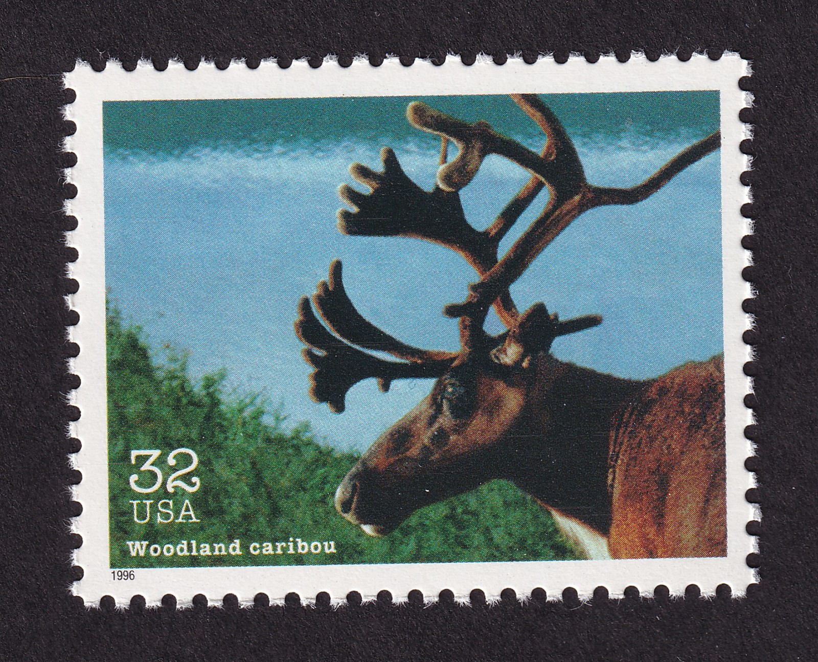 Scott #3105l Endangered Species Woodland Caribou Single Stamp - MNH