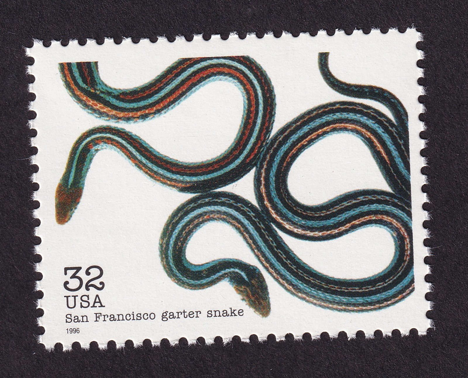 Scott #3105k Endangered Species San Francisco Garter Snake Single Stamp - MNH