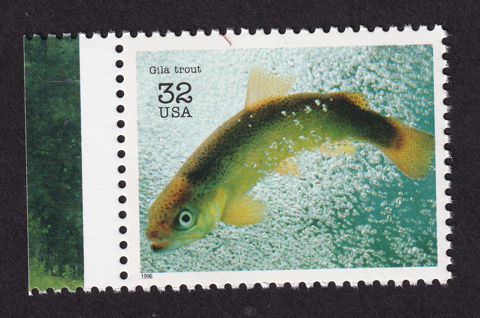 Scott #3105k Endangered Species Gila Trout Single Stamp - MNH