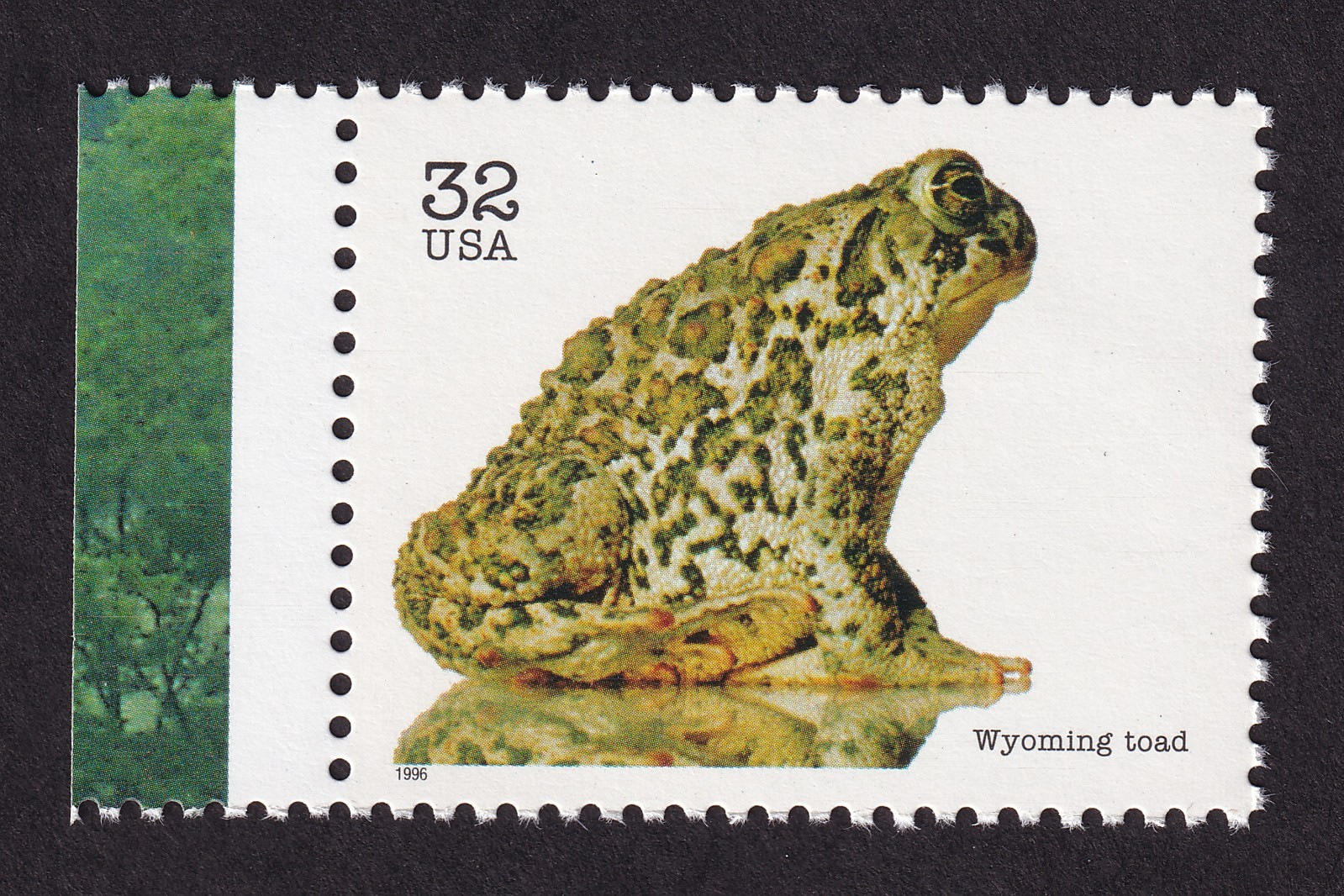 Scott #3105g Endangered Species Wyoming Toad Single Stamp - MNH