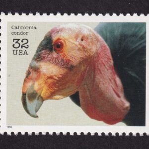 Scott #3105i Endangered Species California Condor Single Stamp - MNH