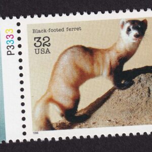 Scott #3105a Endangered Species Black-footed Ferret Single Stamp - MNH