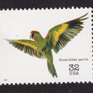 Scott #3105b Endangered Species Thick-billed Parrot Single Stamp - MNH