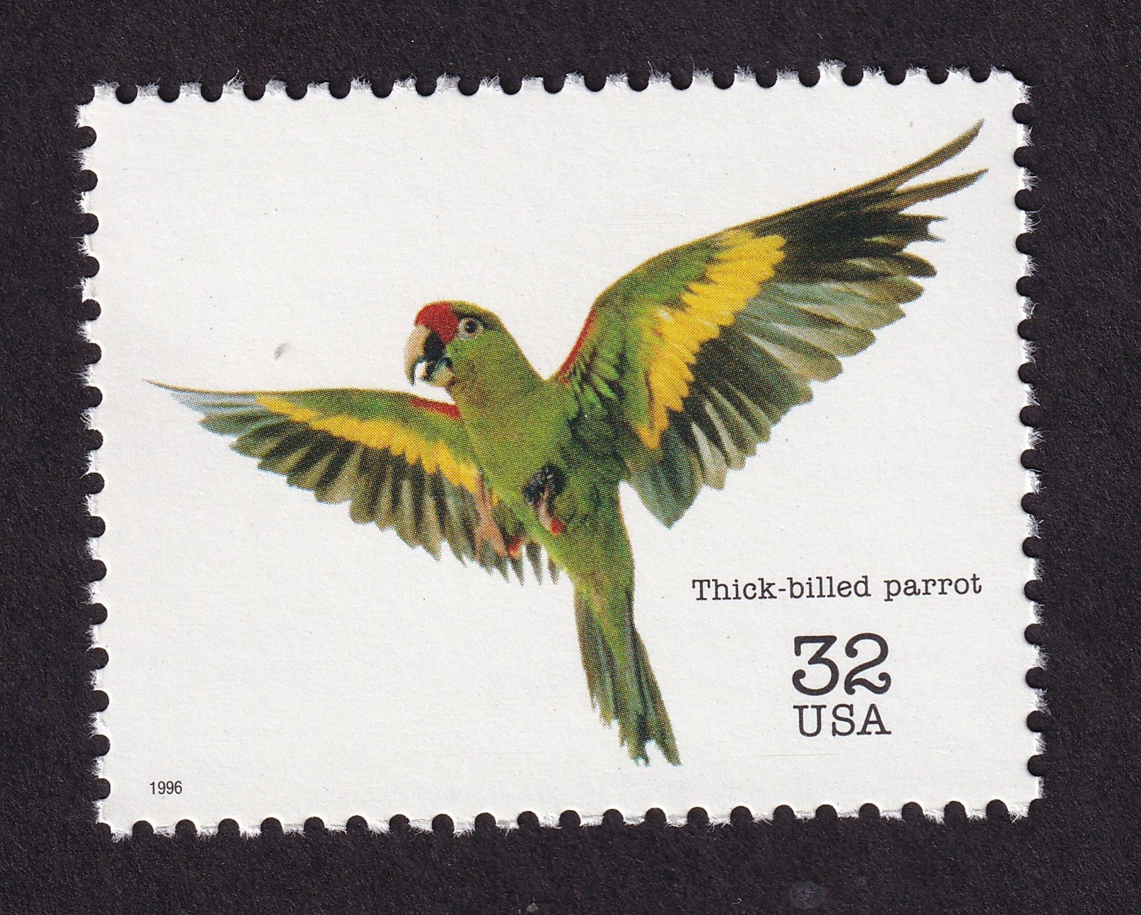 Scott #3105b Endangered Species Thick-billed Parrot Single Stamp - MNH