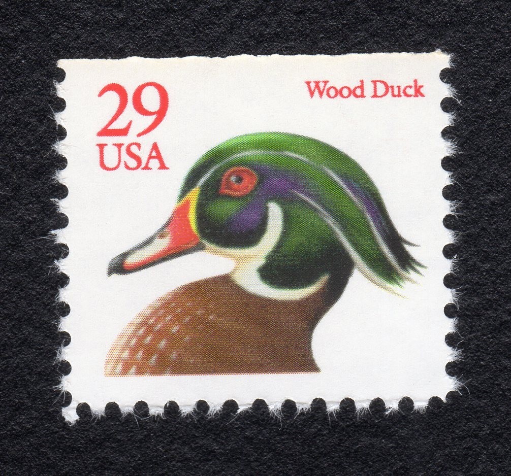Scott #2485 Wood Duck Booklet Single Stamp - MNH