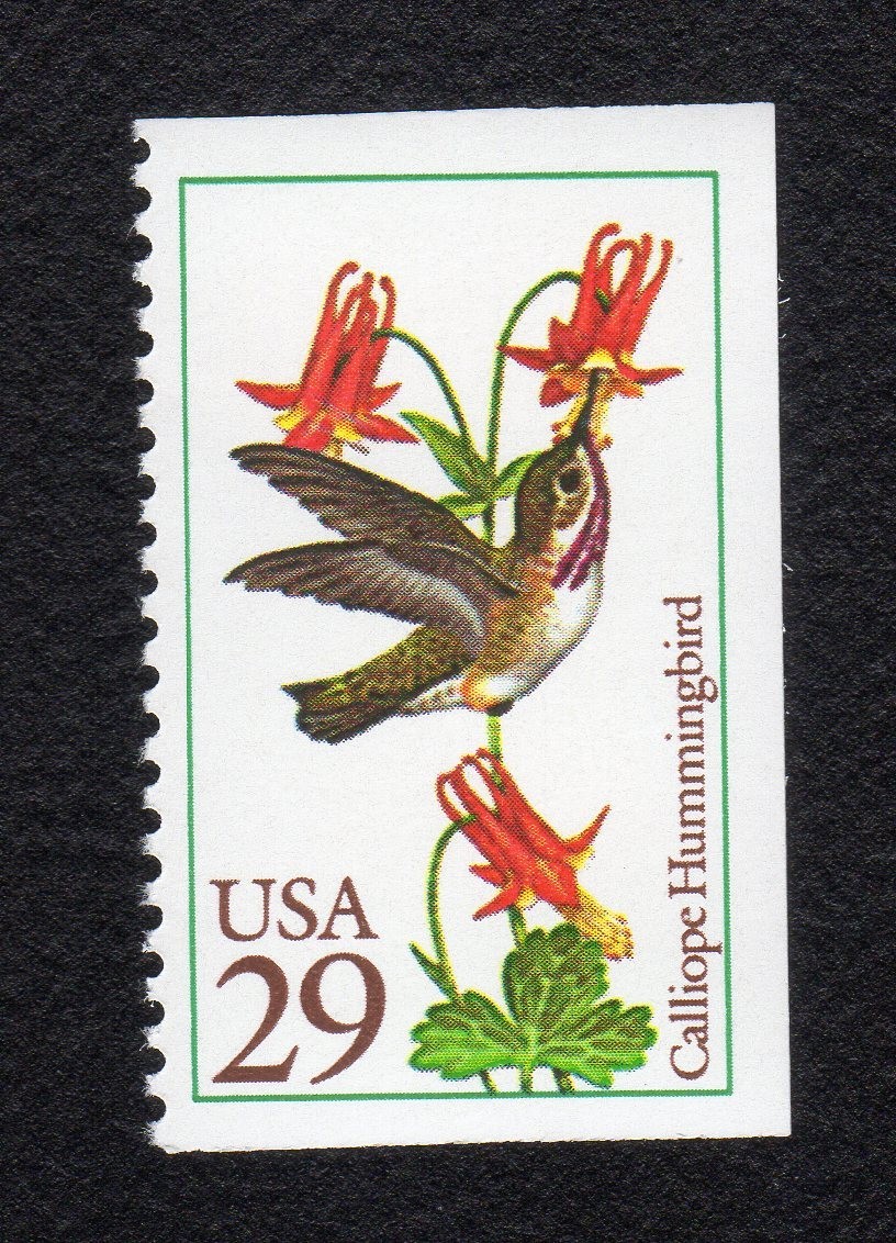 Scott #2646 Calliope Hummingbird Single Stamp - MNH
