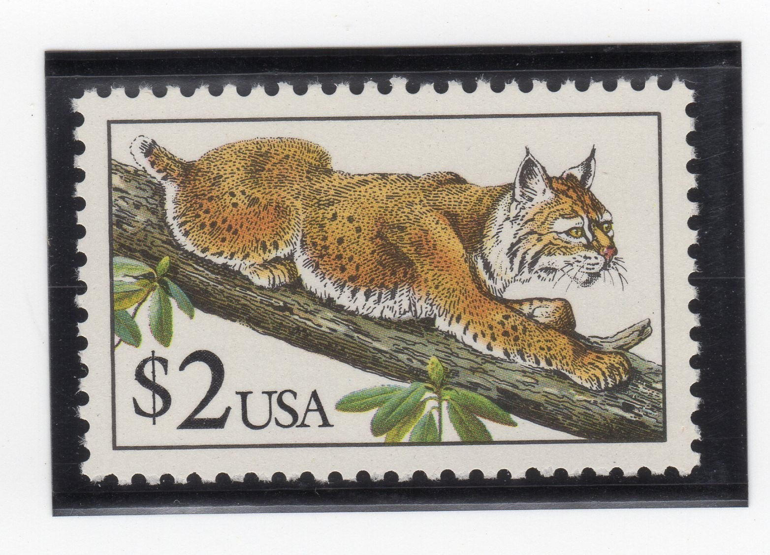 Scott #2482 Bobcat Single Stamp - MNH XF in mount