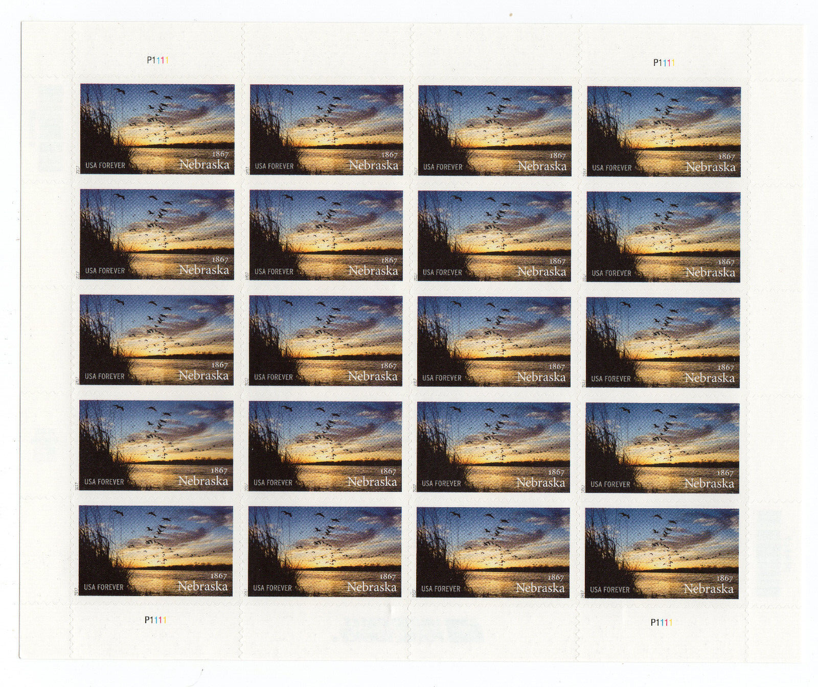 Scott #5179 Nebraska Full Sheet of 20 Forever Stamps - MNH