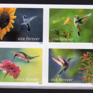 Scott #5848a (5845-48) Garden Delights Block of 4 Forever Stamps - MNH UV