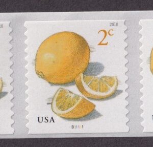 Scott #5256 Meyers Lemons Plate # Coil (PNC7) of 7 Stamps - MNH
