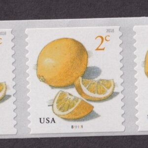 Scott #5256 Meyers Lemons Plate # Coil (PNC5) of 5 Stamps - MNH