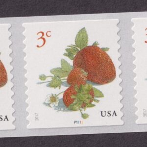 Scott #5201 Strawberries Plate # Coil (PNC5) of 5 Stamps - MNH