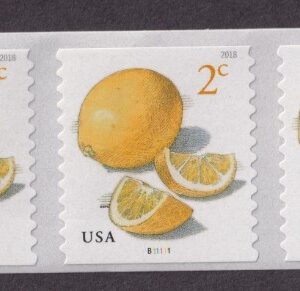 Scott #5256 Lemons (2¢) 40 Coil Stamps - MNH