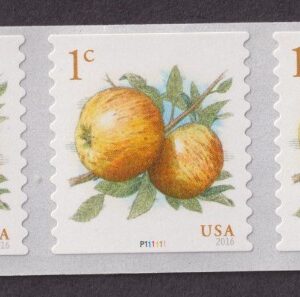 Scott #5037 (1¢) Apples 40 Coil Stamps - MNH