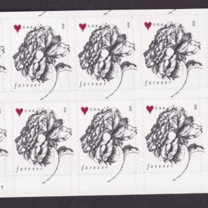 Scott #4959 Forever Rose & Heart Half Sheet of 20 Stamps - MNH Bottom