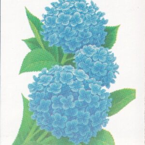 Scott #BK231 (2997a) - Garden Flowers Booklet of 20 Stamps - MNH