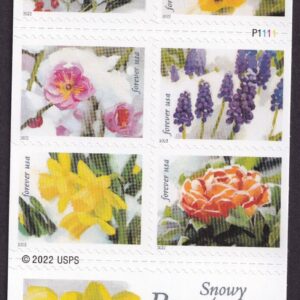 Scott #5745a (5736-45) Snowy Beauty Booklet of 20 Forever Stamps - MNH