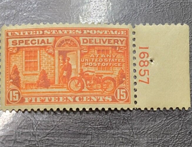 Scott E13 Special Delivery P#16857 Mint NH F