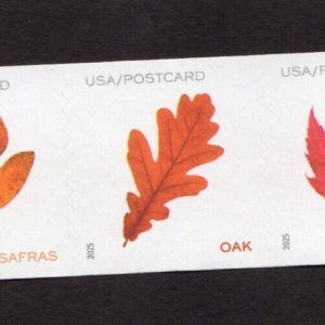 Scott #5975a (5971-75) Vibrant Leaves Postcard Strip of 5 Coil Stamps - MNH