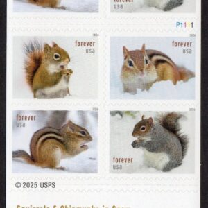 Scott #6132a (6129) Squirrels & Chipmunks Booklet Pane of 8 Forever Stamps - MNH