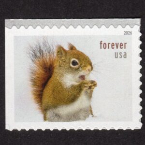 Scott #6129 Squirrels & Chipmunks Booklet Single Forever Stamp - MNH