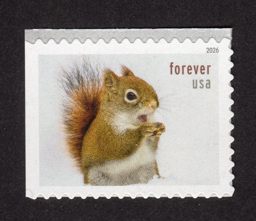 Scott #6129 Squirrels & Chipmunks Booklet Single Forever Stamp - MNH
