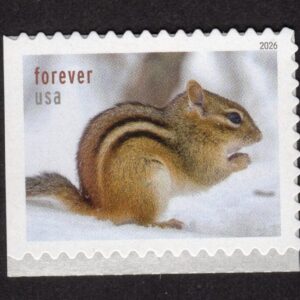 Scott #6131 Squirrels & Chipmunks Booklet Single Forever Stamp - MNH
