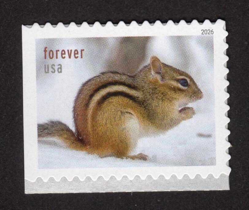 Scott #6131 Squirrels & Chipmunks Booklet Single Forever Stamp - MNH