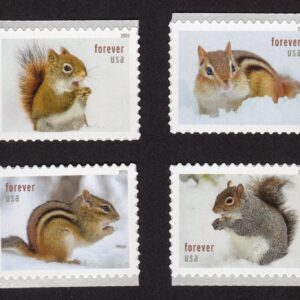 Scott #6129-6132 Squirrels & Chipmunks Booklet Single Forever Stamps - MNH